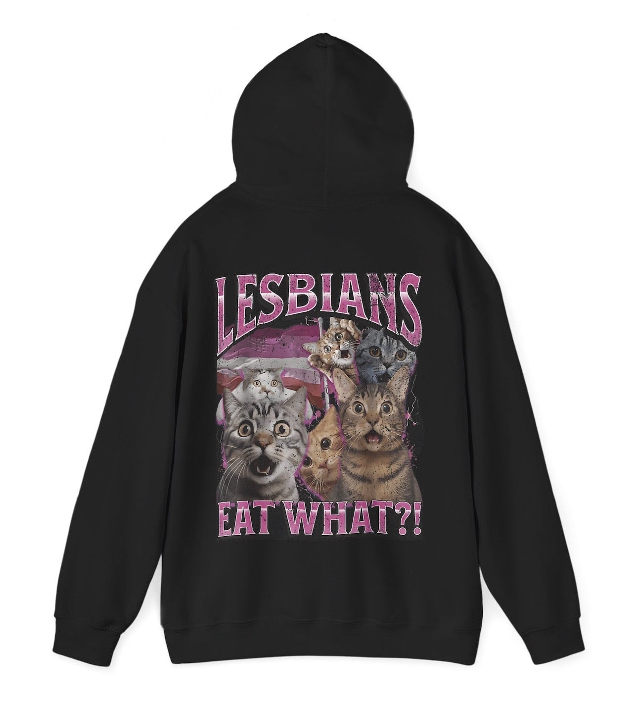 Funny Lesbians Eat What? Hoodie featuring LGBTQ humor and cat meme-inspired design, perfect for men & women casual wear and humor lovers.