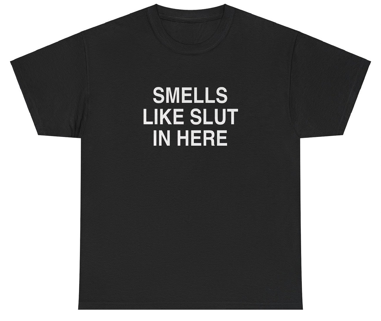 "Funny 'Smells Like Slut In Here' t-shirt, perfect for fans of bold humor and viral memes. Great for casual wear and gag gifts."