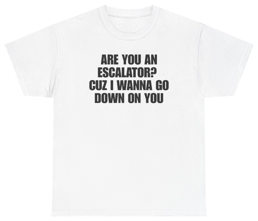 Funny Are You An Escalator Cuz I Wanna Go Down On You T-Shirt featuring bold sarcastic humor and graphic design, perfect for casual wear and humor lovers