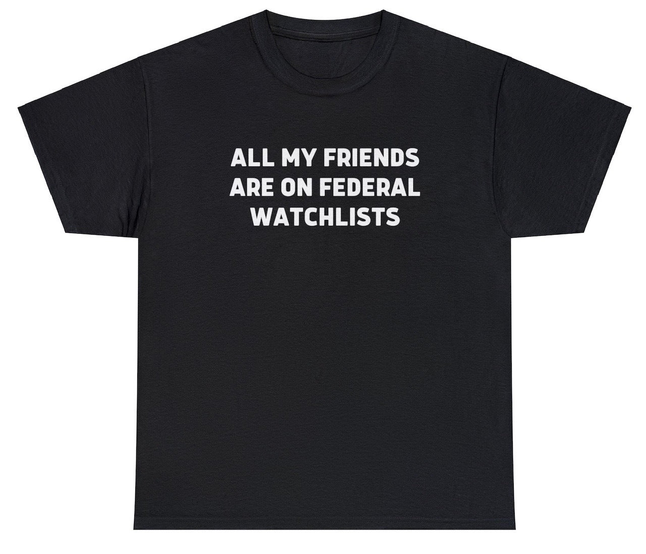 "Provocative 'All My Friends Are On Federal Watchlists' t-shirt, perfect for fans of dark humor and bold statements. Ideal for casual wear and fun gifts."

