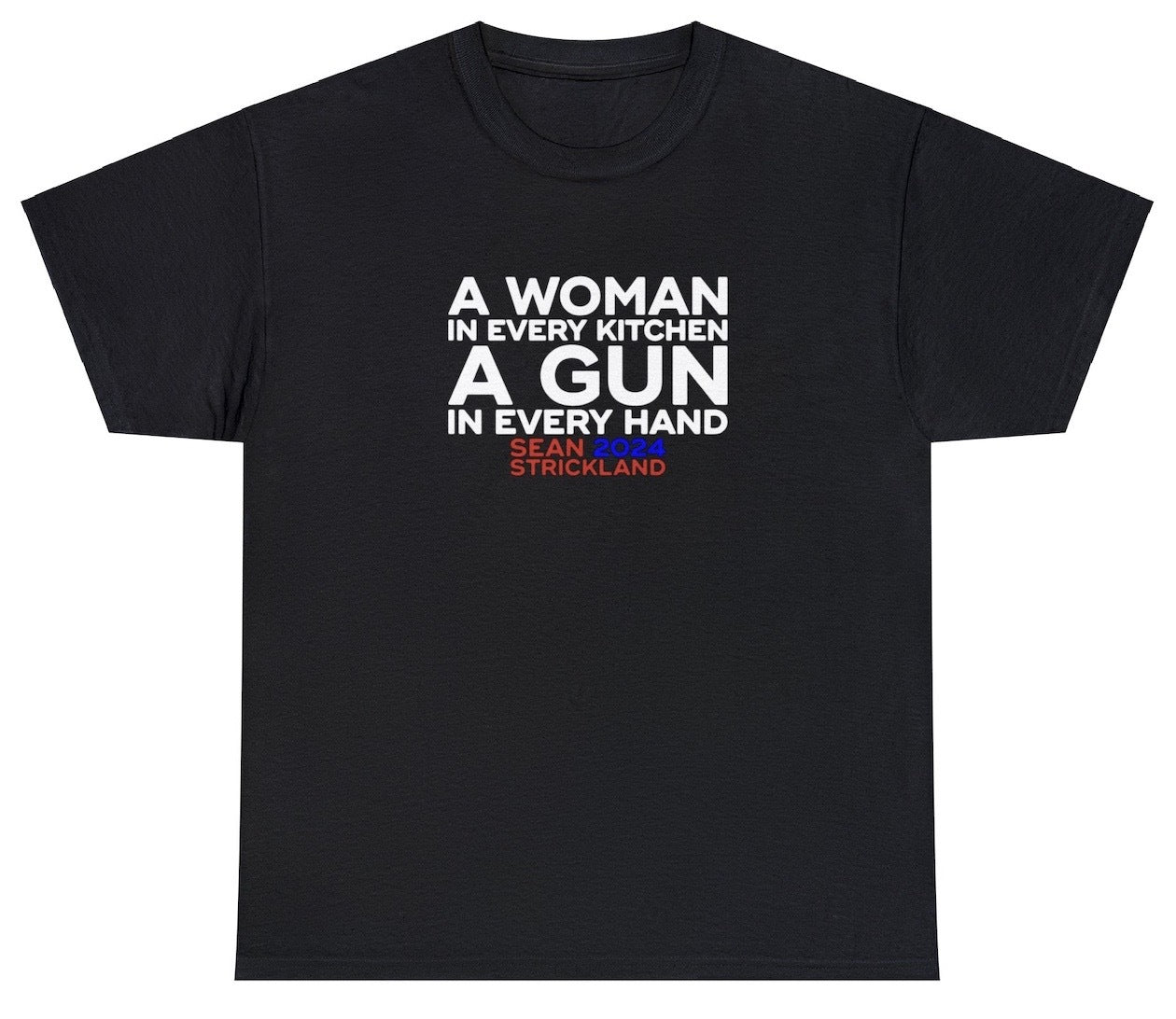 AAA A Woman In Every Kitchen A Gun In Every Hand T Shirt