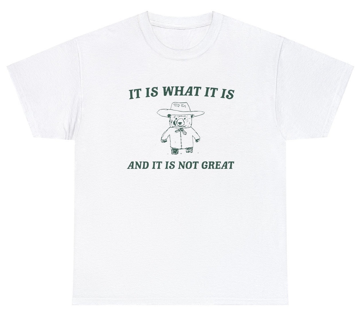 AAA It Is What It Is And Its Not Great T Shirt