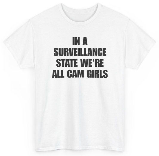 Funny In A Surveillance State We're All Cam Girls T-Shirt featuring bold sarcastic humor and graphic design, perfect for casual wear and humor lovers