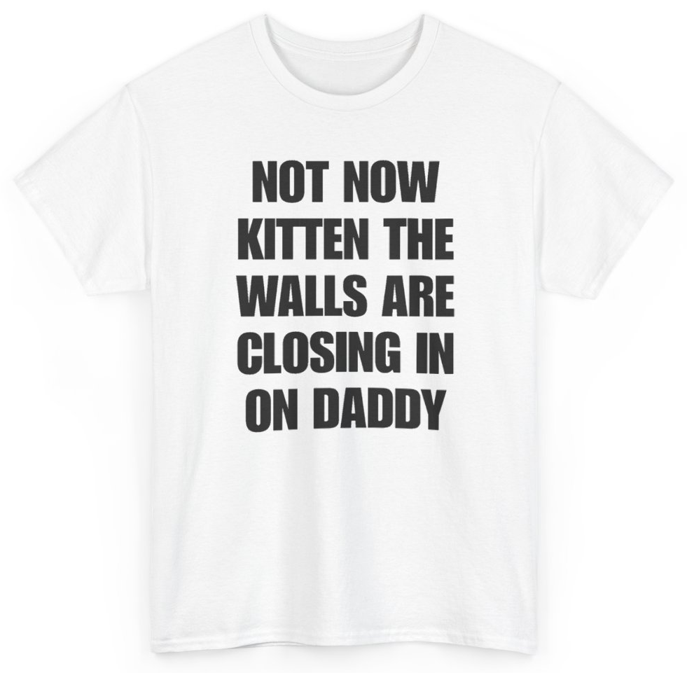 Funny Not Now Kitten The Walls Are Closing In On Daddy T-Shirt featuring bold sarcastic humor and graphic design, perfect for casual wear and humor lovers