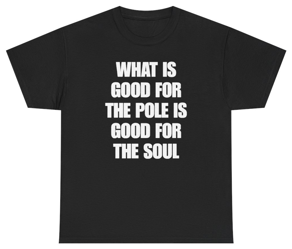 Funny What Is Good For The Pole Is Good For The Soul T-Shirt featuring bold sarcastic humor and graphic design, perfect for casual wear and humor lovers