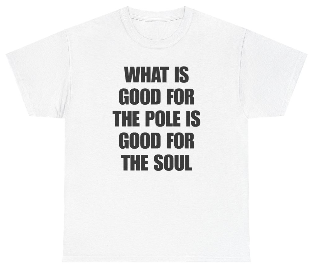 Funny What Is Good For The Pole Is Good For The Soul T-Shirt featuring bold sarcastic humor and graphic design, perfect for casual wear and humor lovers