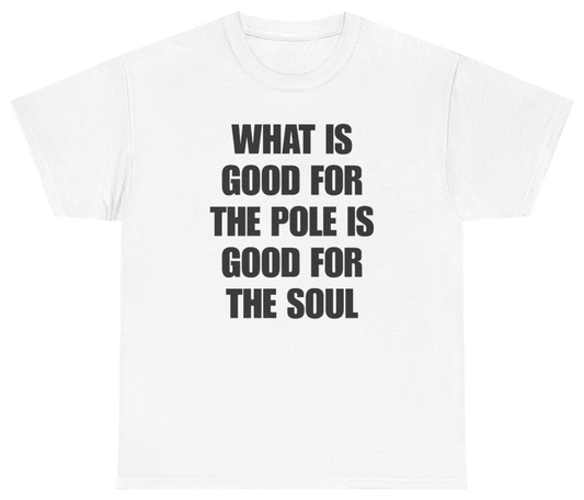 Funny What Is Good For The Pole Is Good For The Soul T-Shirt featuring bold sarcastic humor and graphic design, perfect for casual wear and humor lovers