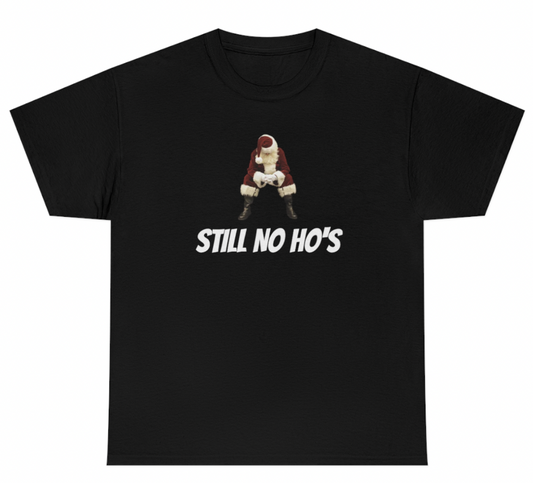 Funny Still No Ho's T-Shirt featuring adult humor and meme-inspired design, perfect for casual wear and humor lovers.

